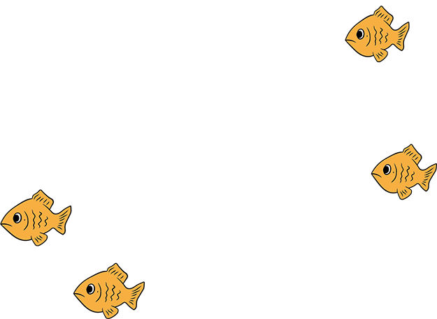 fish